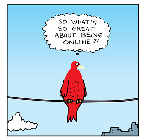 bird-online-social-media-network-illustration-small