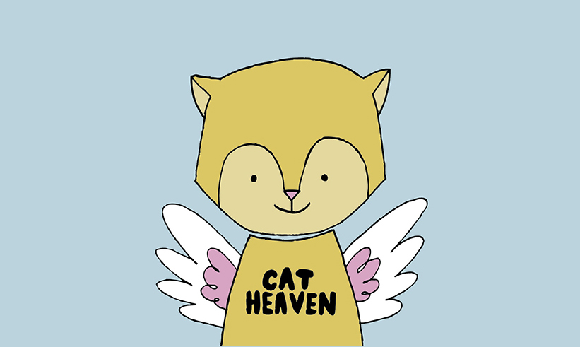 cat-heaven-003